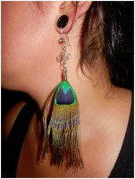 Aro Pluma