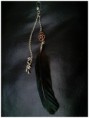 Aro pluma